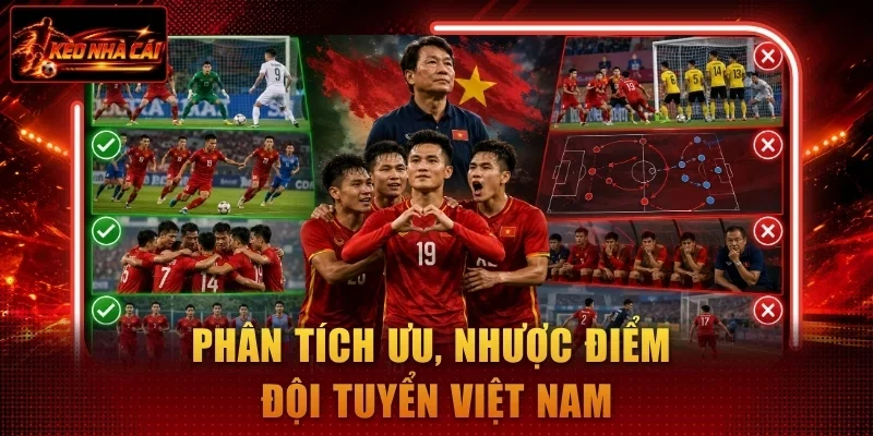 Nhận định đội tuyển Việt Nam năm nay