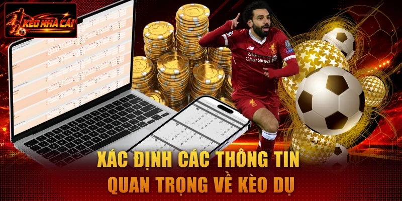 Xác định các thông tin quan trọng về kèo dụ